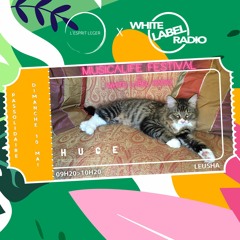 Musicalife Festival x WLR : Leusha (Huge Label)