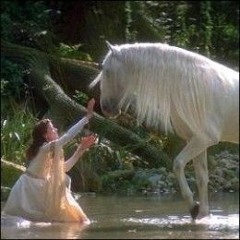 品川南蛮 - akai covered by suzuya