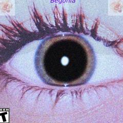 Begonia prod.yvngonyx