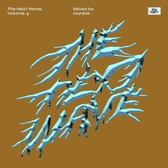 The Next Wave, Volume. 5 - Mixed by rayreck