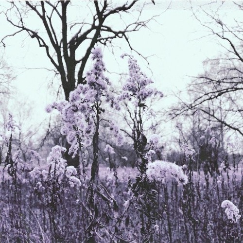 Good Friday by Cocorosie - cover