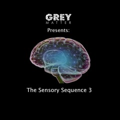 Presents: The Sensory Sequence 3