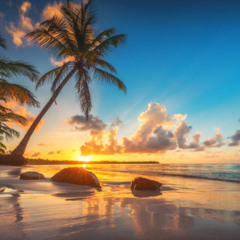 Summer Afrohouse Love - Keinemusik, WhoMadeWho, Rampa, &ME, Adam Port