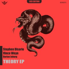 Premiere: Stephen Disario & Vince Weyn "Theory" - Black Snake Recordings