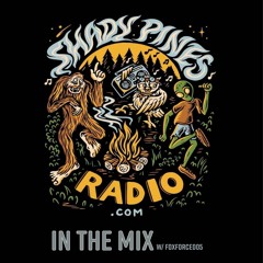 Shady Pines Radio - Clyde Avery Guest Mix   3 - 11 - 23 (Commercial Free)