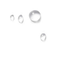 yung sherman - Document 1