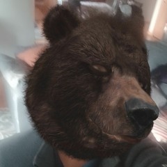 Beary The Bear & L Steele - Chicago Sports