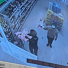 Smooth ! - Pumppfake *  X Dillon