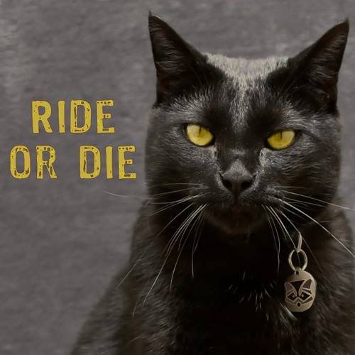 Trash Panda / TP079 / Ride or Die [3AM Live] / 2023-12-09