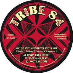 Nucleus Roots feat Trevor Roots - Roots & Culture [TEF10005]