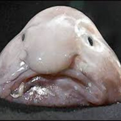 nanananana (rough edit)