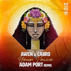 AWEN & Caiiro - Your Voice (Adam Port Remix)