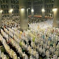 صلاة العشاء والتراويح والوتر - 29 رمضان - رعد الكردي