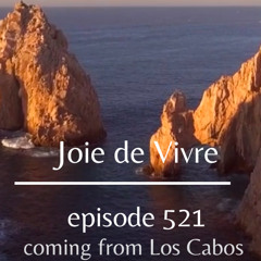 Joie de Vivre - Episode 521