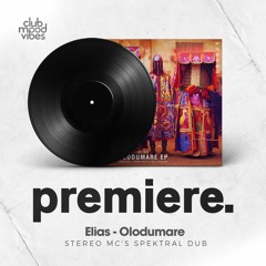 PREMIERE: Elias - Olodumare (Stereo MC's Spektral Dub) [Cacao Records]