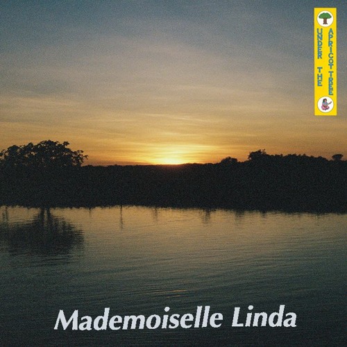 Apricot 36: Mademoiselle Linda