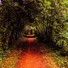 Running Farther