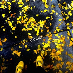 Cannon