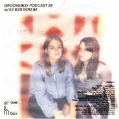 Schimmer Groovebox #038 w/ Ev B2B Goiaba