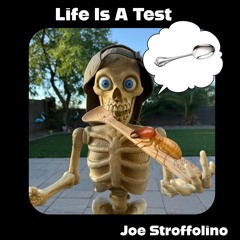 Life Is a Test