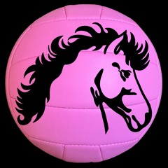 Pink Volleyball