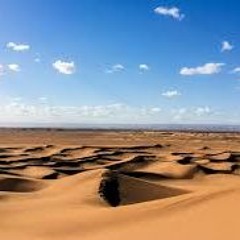 Wood and Sand