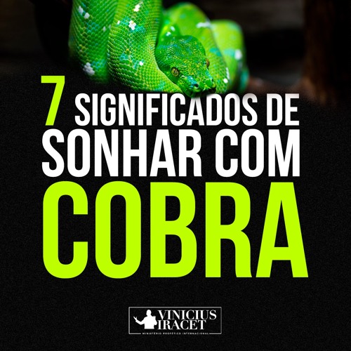 Descubra qual o significado bíblico de sonhar com cobra