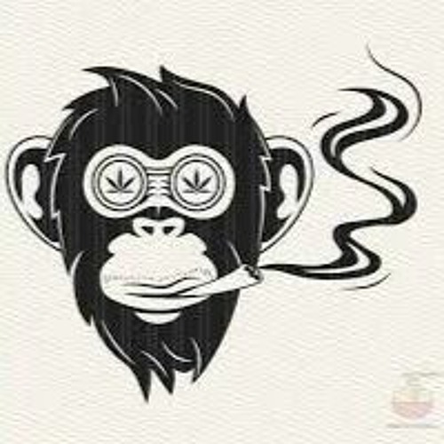 nunk me cuenta nd (freestyle) - valleyboi - cuty (Prod.313)