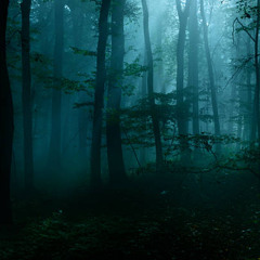 dreamweaver.