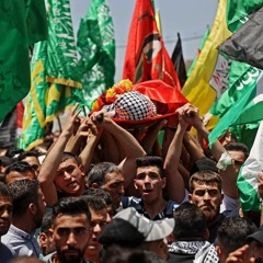 Palestine Resists: A Conversation with Abby Martin and Mike Prysner of The Empire Files