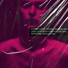 Crying During Sex (Perverted Club Mix) - Ethel Cain