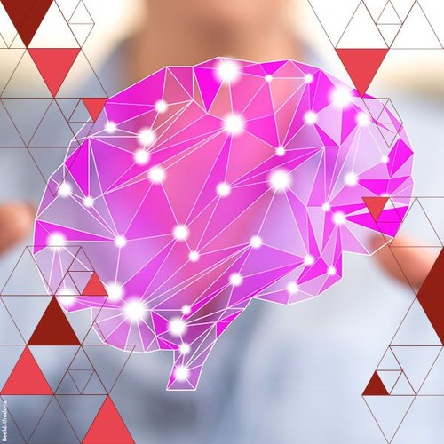 Zijn je hersengolven nog van jou? | Fleur Zeldenrust, Roel Heremans en Pim Haselager