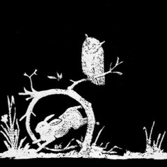 songs: ohia - i've been riding with the ghost (cover)