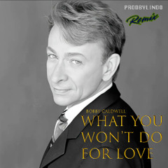 Bobby Caldwell - Do For Love | LINDO [Remix]