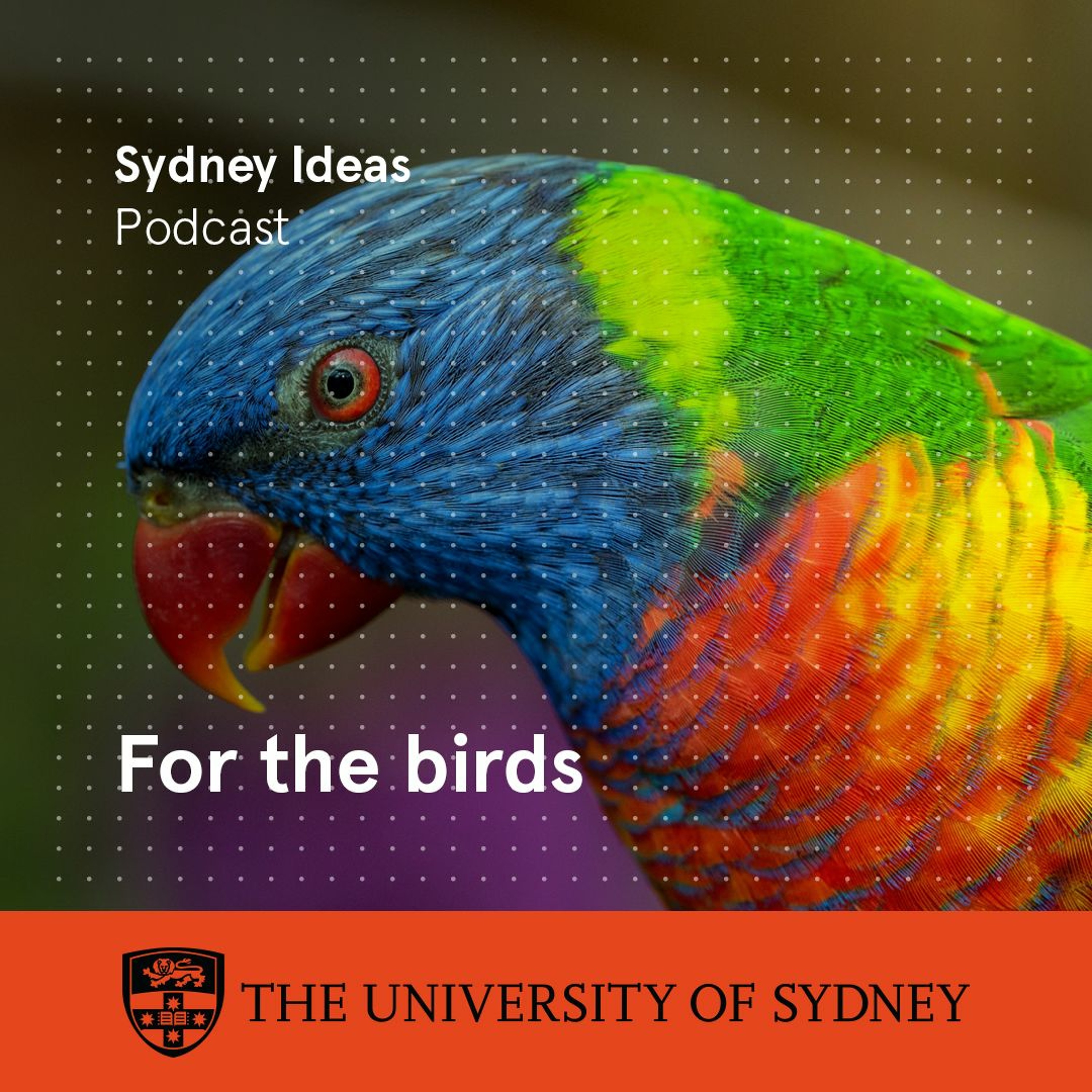 cover of episode For the birds