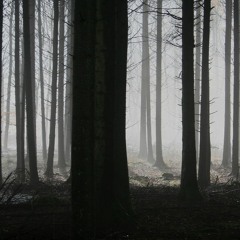 Fear Of The Unknown
