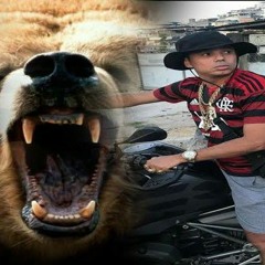 MC COPINHO - VEM PRA SELVA VEM_ESCOLINHA DO PROF_SELVA DO RUSSO_PICADA DO ABELHA_RUGIDO DO URSO
