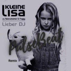 Kleine Lisa Vs Tekknoheimer & Foggy - Lieber DJ ( Pulsebeat Remix )