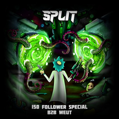 SPLIT - 150 FOLLOWER SPECIAL (B2B WEUT)