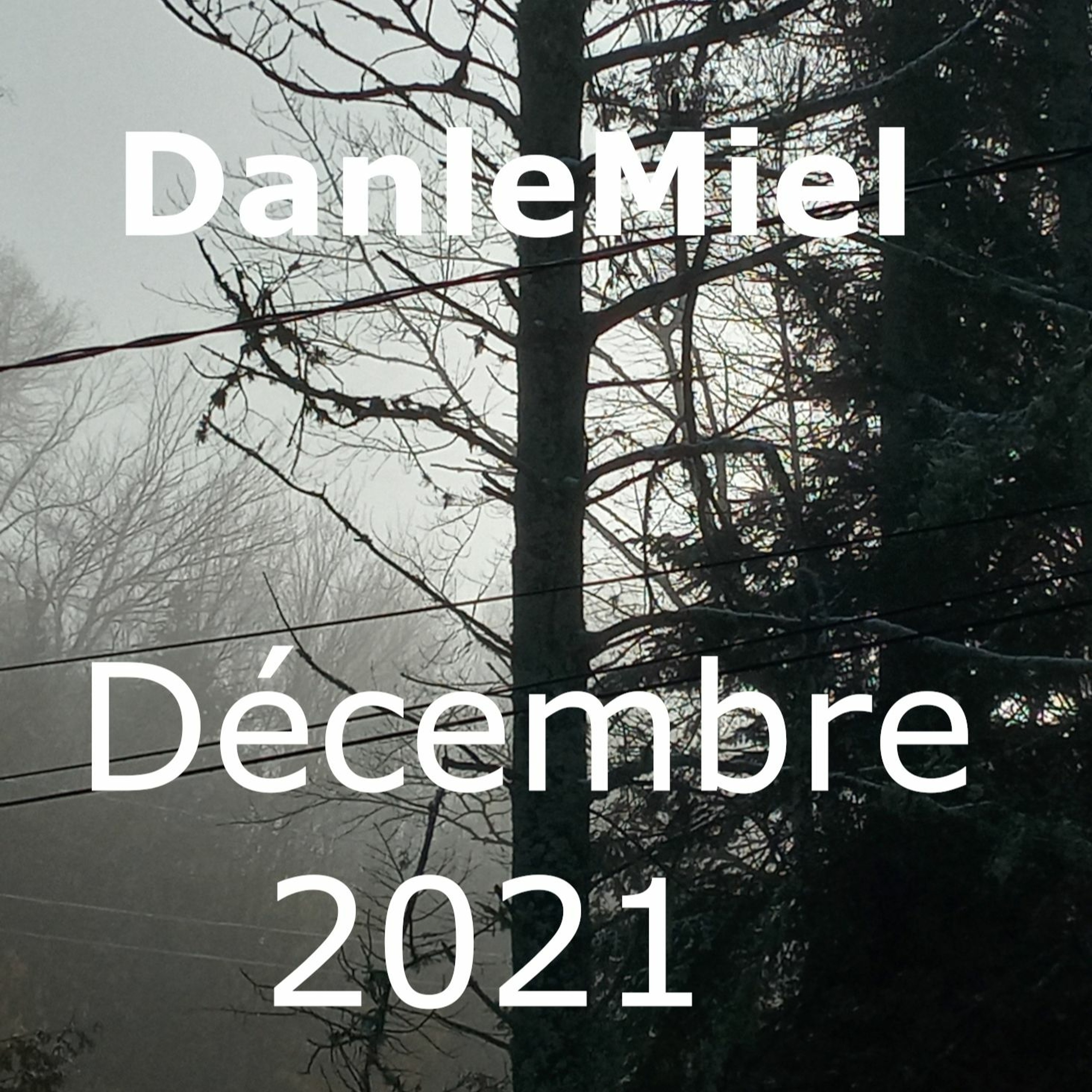 DanleMiel