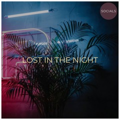 Lost in the Night
