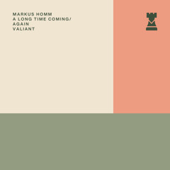 Premiere: Markus Homm - Again [Valiant Records]