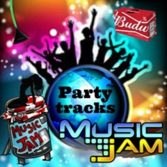 PARTY PLAYLIST🌐Custom Playlists