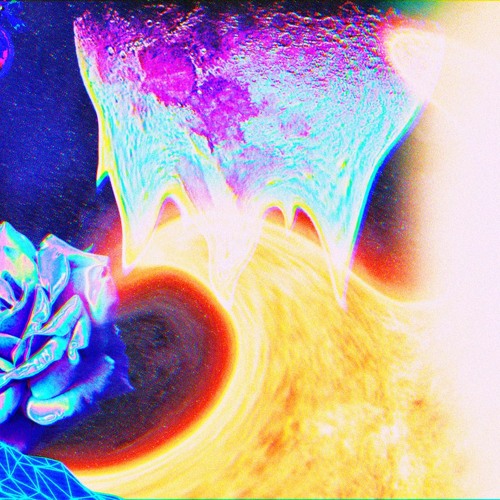Rina - Aquarius