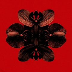 Under the Bridge (Single)