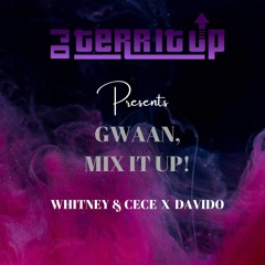 Whitney & CeCe X Davido- DJ Terr IT Up
