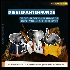 Elefantenrunde: Die Diskussion zur StuPa-Wahl 2022