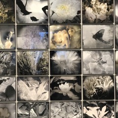 Distant Memories (me)