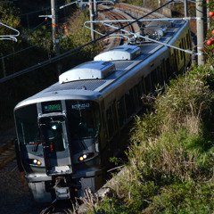 しんぐうトリップ