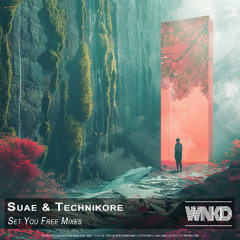 Suae & Technikore - Set You Free Mixes